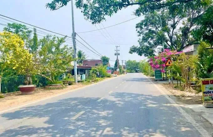 Bất động sản tại Bình Dương - ảnh 1
