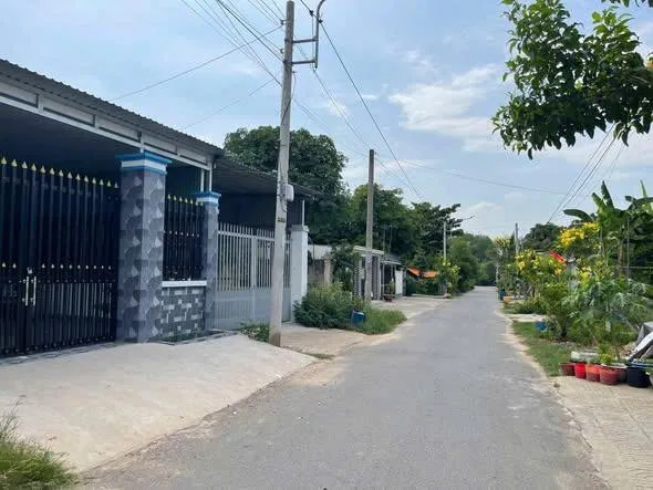 Bất động sản tại Bình Dương - ảnh 1