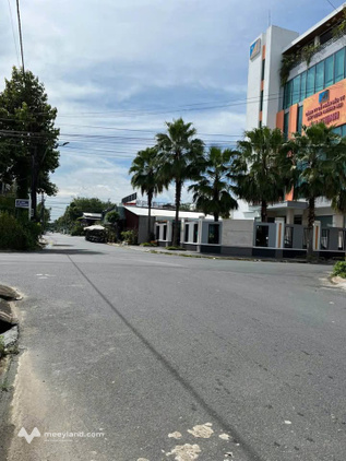 Bất động sản tại An Giang - ảnh 1