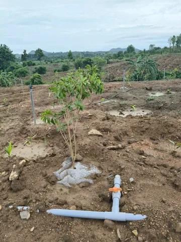 Bất động sản tại Đắk Lắk - ảnh 1