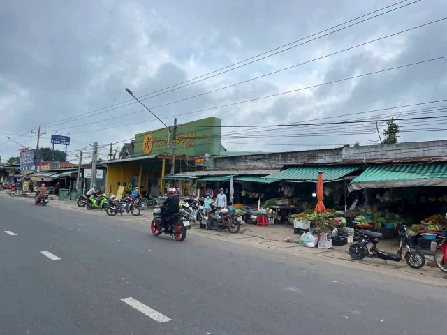 Bất động sản tại Bình Dương - ảnh 1