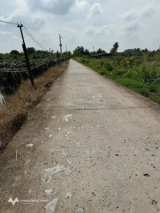 Bất động sản tại Long An - ảnh 1