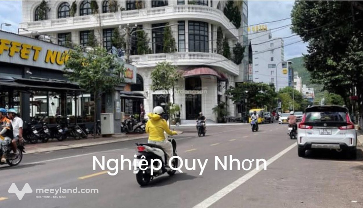 Bất động sản tại Bình Định - ảnh 1