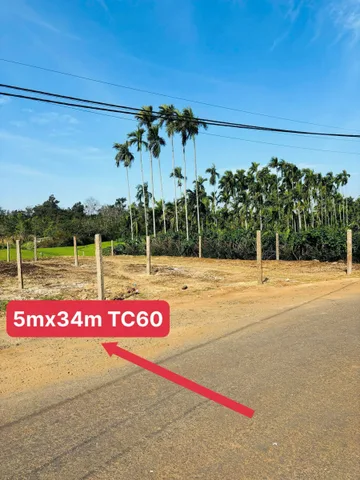Bất động sản tại Đắk Lắk - ảnh 1