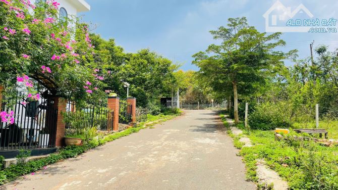 Bất động sản tại Lâm Đồng - ảnh 1