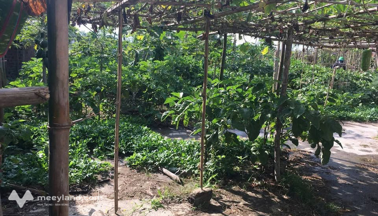 Bất động sản tại Bình Định - ảnh 1