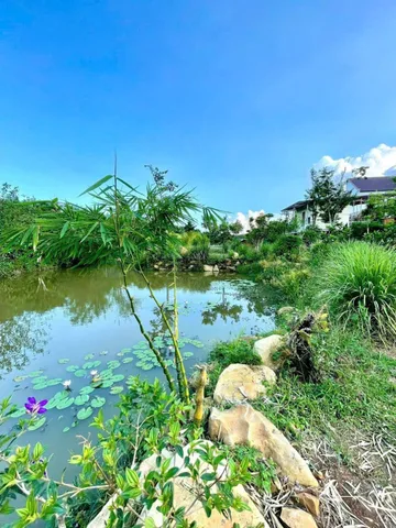 Bất động sản tại Lâm Đồng - ảnh 1