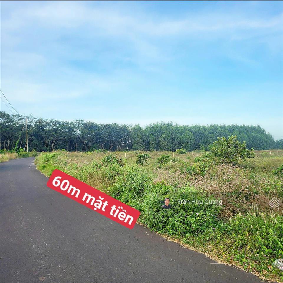Bất động sản tại Bà Rịa - Vũng Tàu - ảnh 1