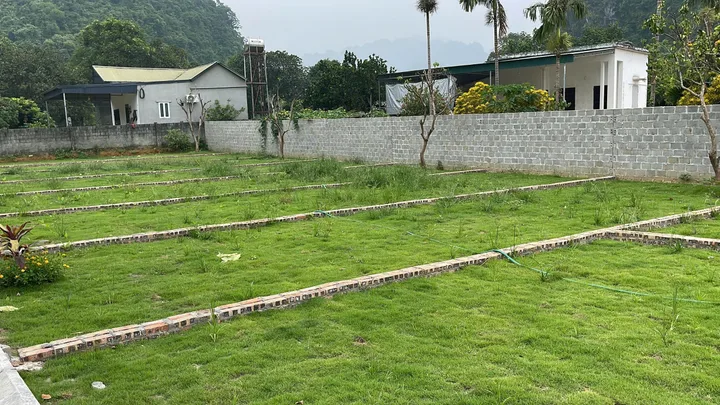 Bất động sản tại Phú Thọ - ảnh 1