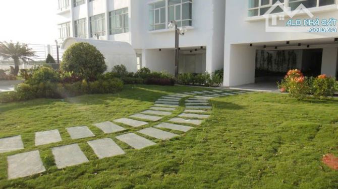 Bất động sản tại Đà Nẵng - ảnh 1