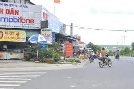 Bất động sản tại Bình Dương - ảnh 5