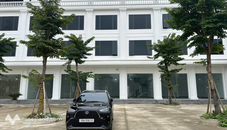 Bất động sản tại Vĩnh Phúc - ảnh 1