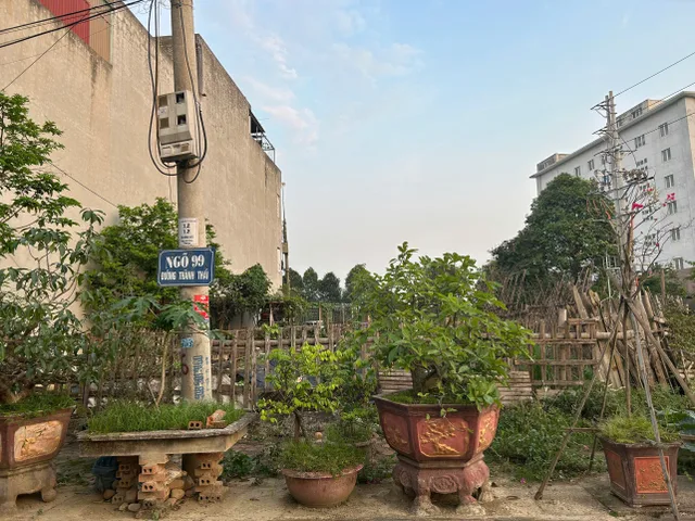 Bất động sản tại Thanh Hóa - ảnh 1