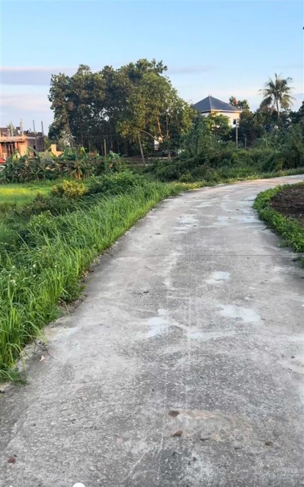 Bất động sản tại Thái Nguyên - ảnh 1