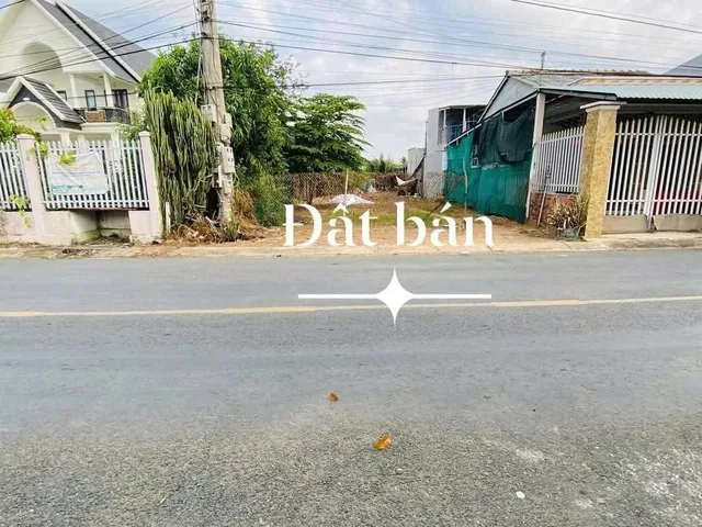 Bất động sản tại Long An - ảnh 1