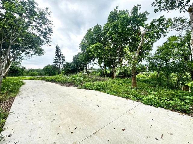 Bất động sản tại Phú Thọ - ảnh 1