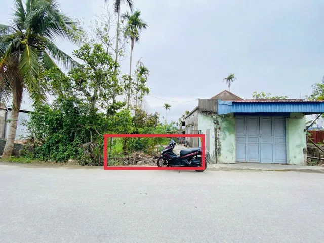 Bất động sản tại Hải Phòng - ảnh 1