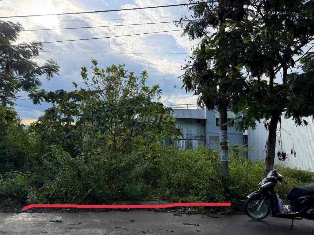 Bất động sản tại Đà Nẵng - ảnh 1
