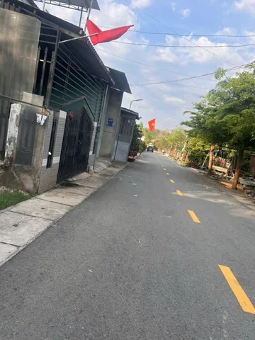 Bất động sản tại Bình Dương - ảnh 1