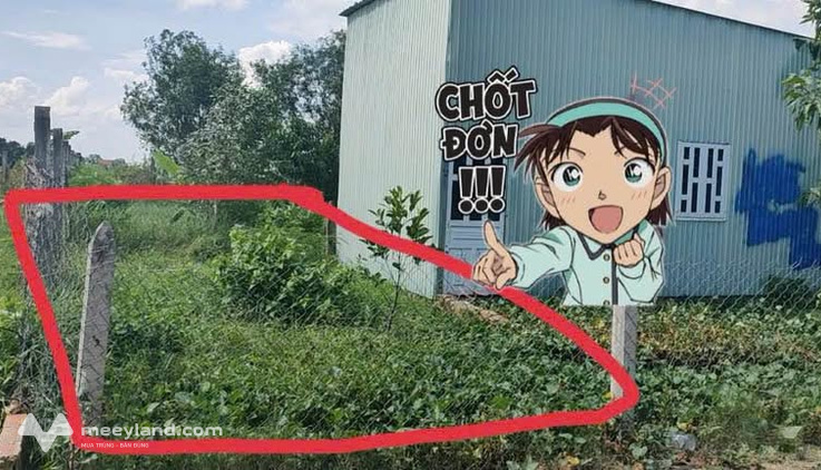 Bất động sản tại Long An - ảnh 1