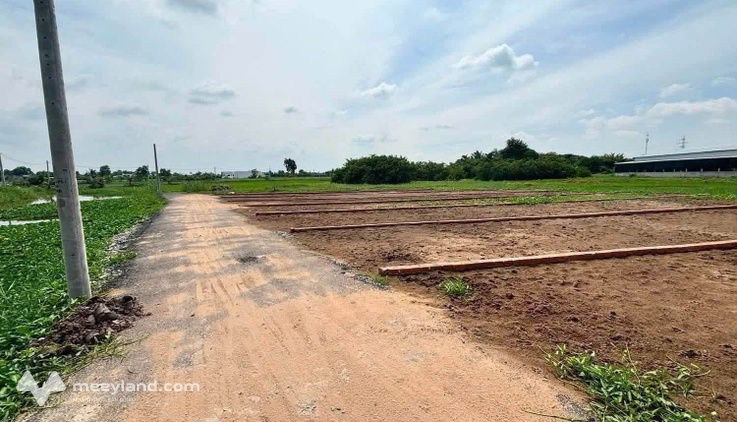Bất động sản tại Long An - ảnh 1