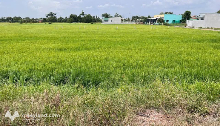 Bất động sản tại Long An - ảnh 1