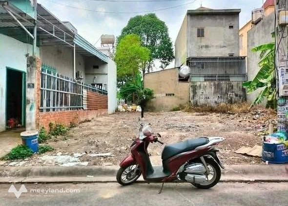 Bất động sản tại Bà Rịa - Vũng Tàu - ảnh 1