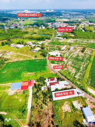 Bất động sản tại Bình Phước - ảnh 1