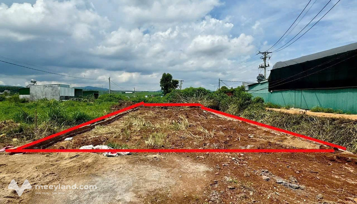 Bất động sản tại Lâm Đồng - ảnh 1