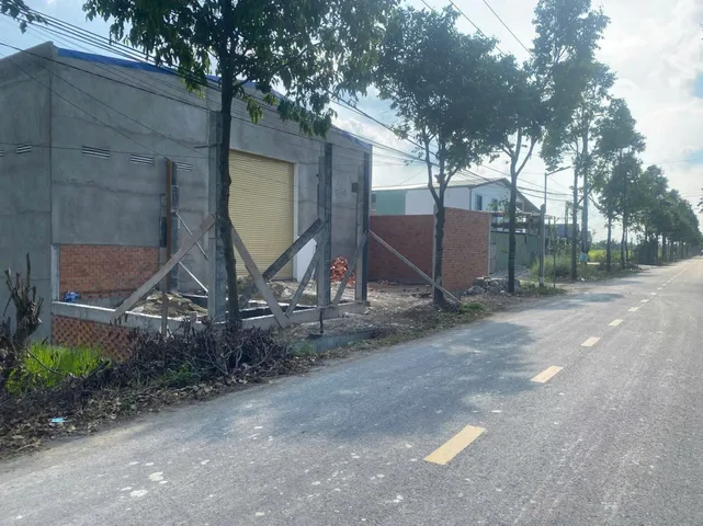 Bất động sản tại Long An - ảnh 1