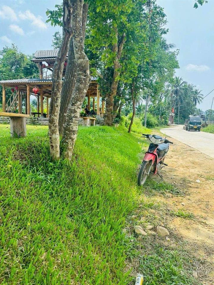 Bất động sản tại Đà Nẵng - ảnh 1