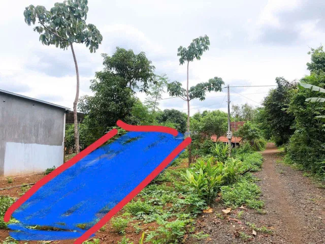Bất động sản tại Đắk Lắk - ảnh 1