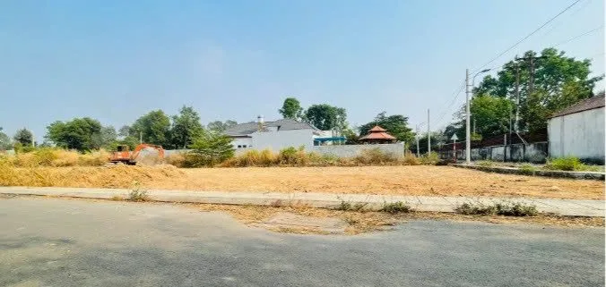 Bất động sản tại Bình Dương - ảnh 1