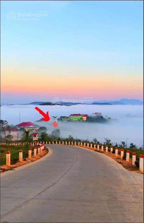 Bất động sản tại Lâm Đồng - ảnh 1