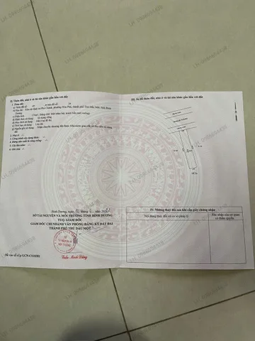 Bất động sản tại Bình Dương - ảnh 1