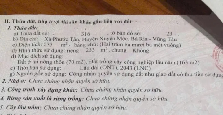 Bất động sản tại Bà Rịa - Vũng Tàu - ảnh 1