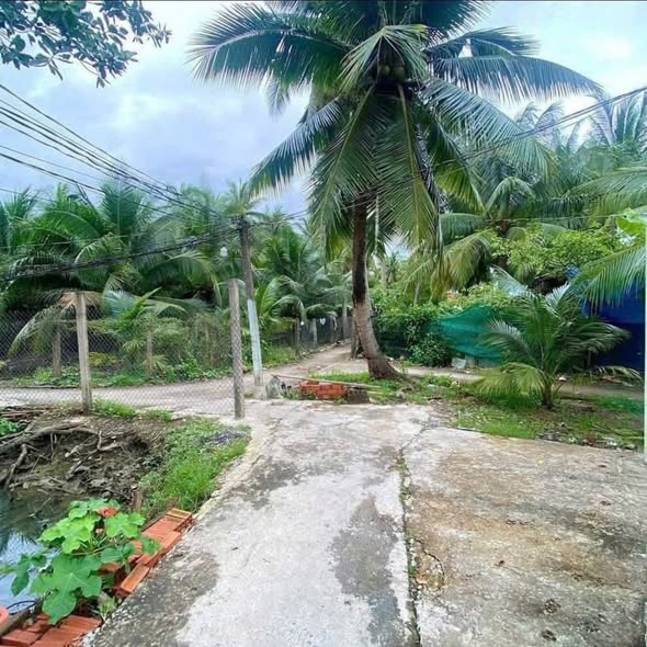 Bất động sản tại Vĩnh Long - ảnh 1