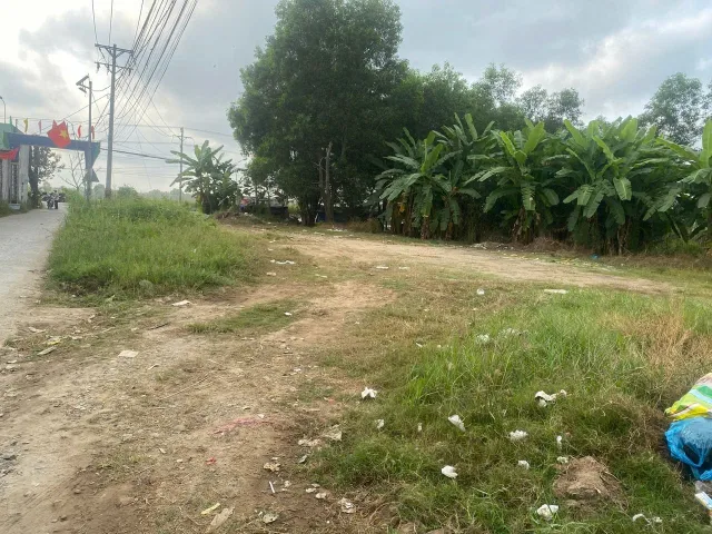 Bất động sản tại Long An - ảnh 1