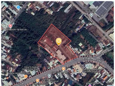 Bất động sản tại Bình Dương - ảnh 1