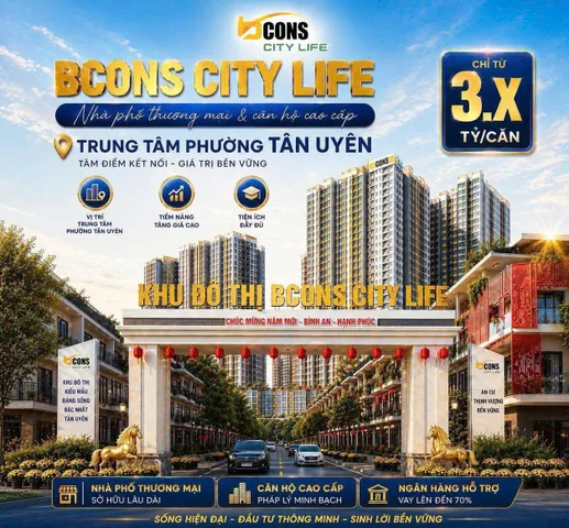 Bất động sản tại Bình Dương - ảnh 1
