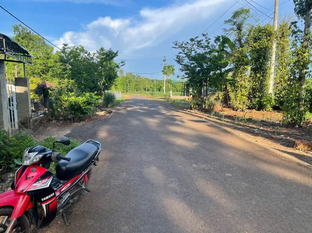 Bất động sản tại Đắk Lắk - ảnh 1