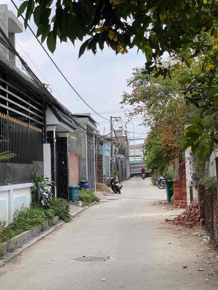 Bất động sản tại Bình Dương - ảnh 1