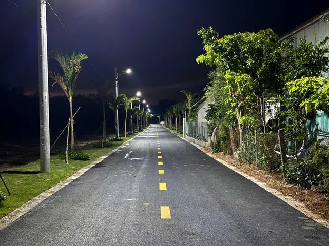 Bất động sản tại Bình Dương - ảnh 1