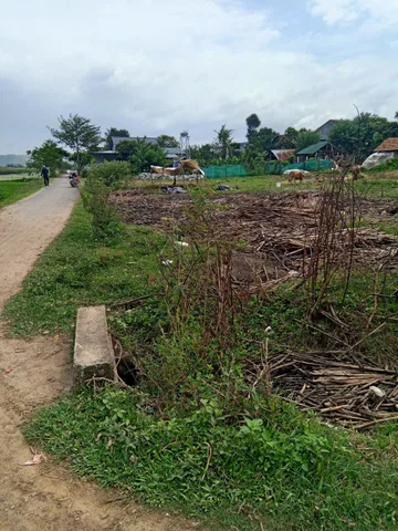Bất động sản tại Đắk Lắk - ảnh 1