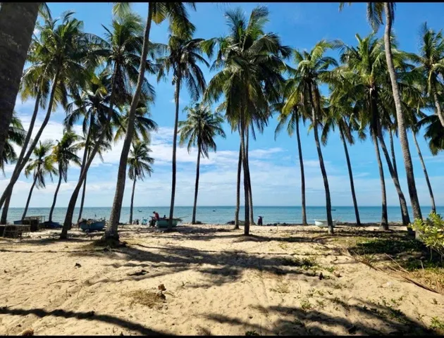 Bất động sản tại Lâm Đồng - ảnh 1