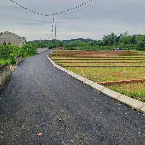 Bất động sản tại Phú Thọ - ảnh 1
