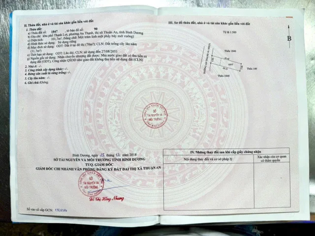 Bất động sản tại Bình Dương - ảnh 1