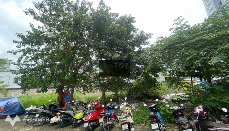 Bất động sản tại TP. Hồ Chí Minh - ảnh 1