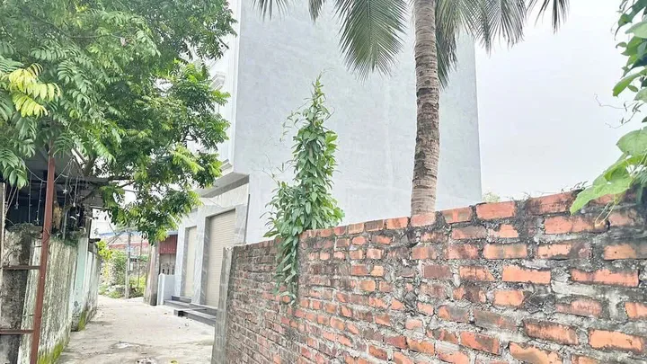 Bất động sản tại Hải Phòng - ảnh 1