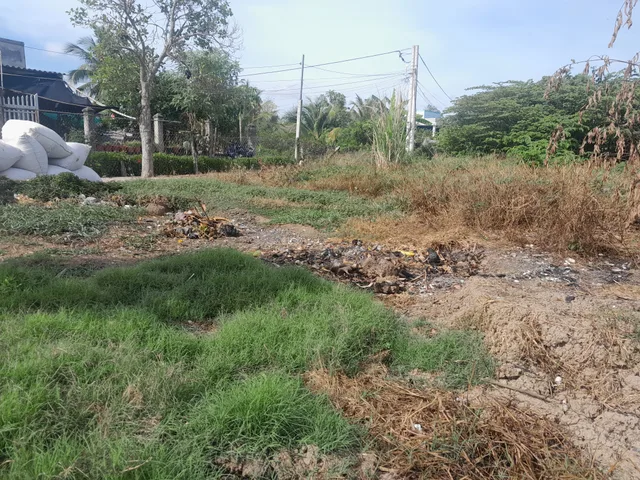 Bất động sản tại Tiền Giang - ảnh 1